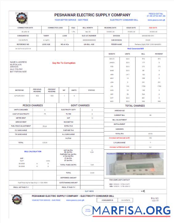 Realistic PAKISTAN PESHAWAR ELECTRIC SUPPLY COMPANY utility bill Word and PDF template